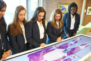 Virtual Anatomy Dissection Table Coming to St. Mary Academy – Bay View